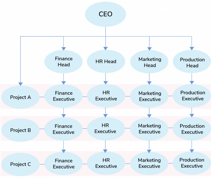 organisational Matrix Structure