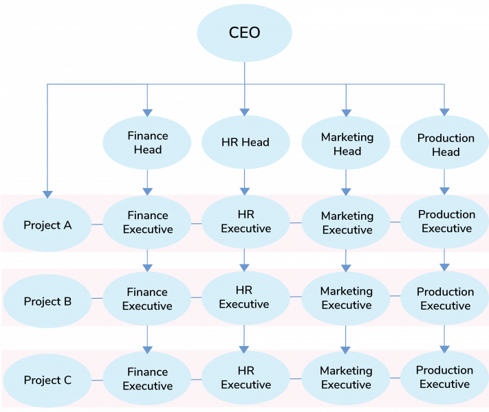 The Organizational Structures Guide | Keka