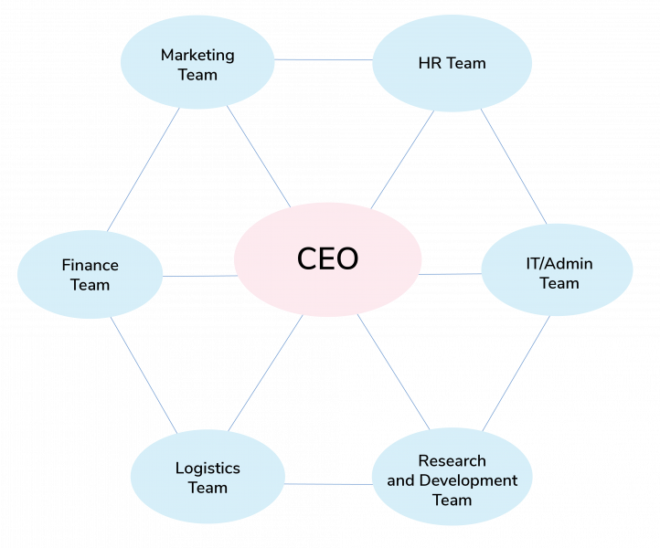 Organisational Network Structure