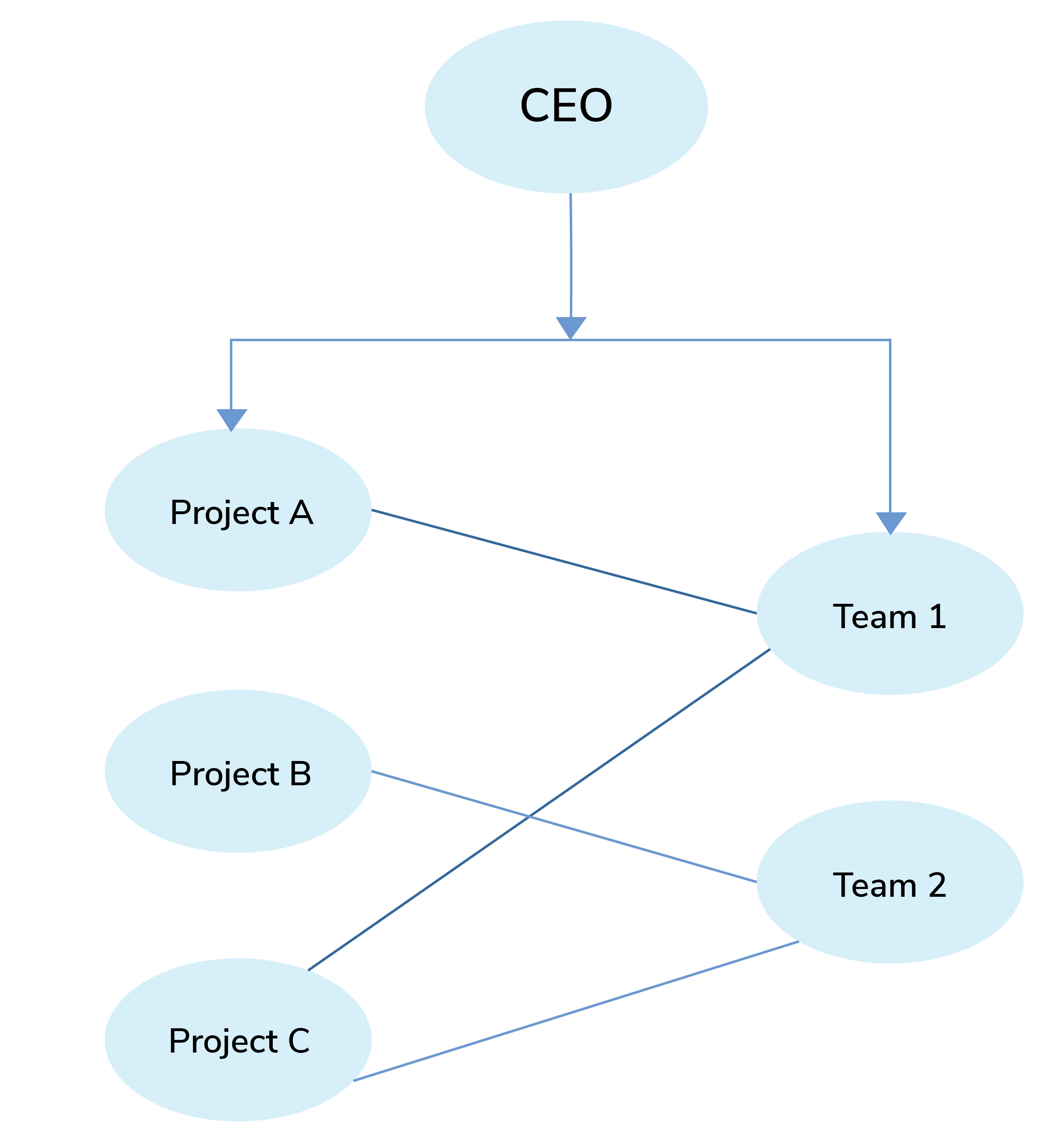 Company Structure & Work-Flow