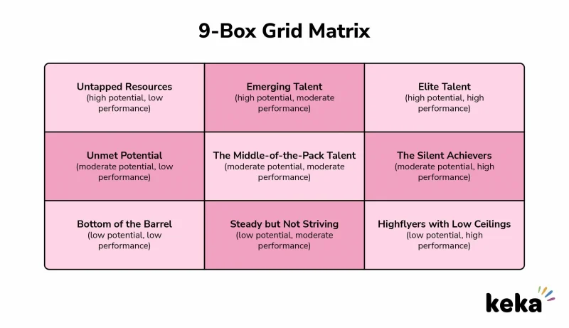 9 Box Grid Performance Matrix