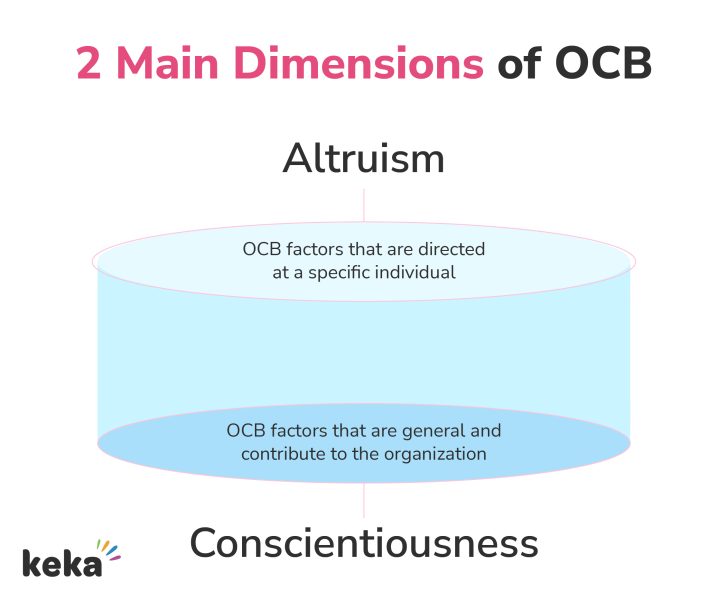 two dimensions of ocb