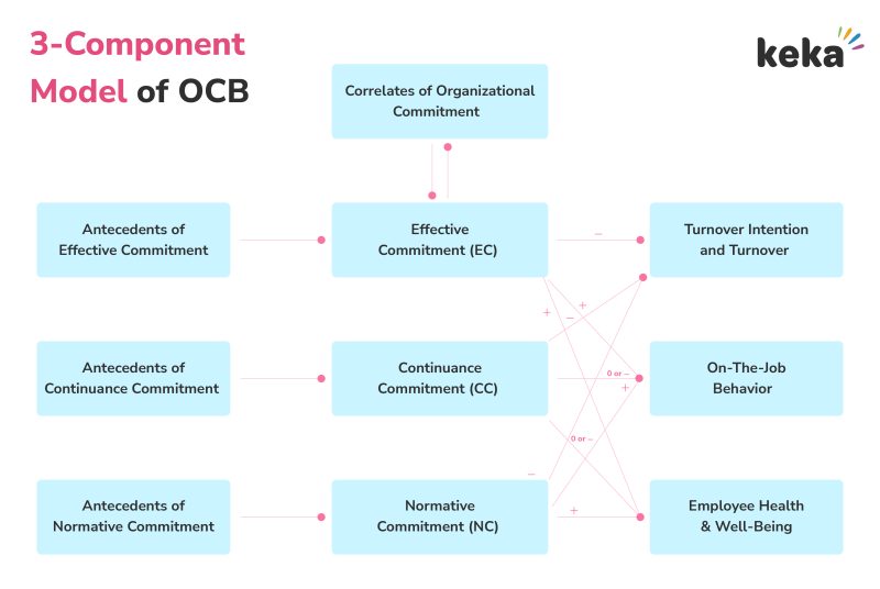 three component model of ocb