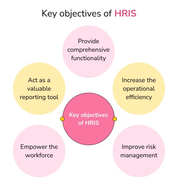 What is HRIS (Human Resource Information System): Types and ...